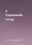 3 Справжній тягар