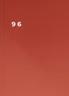 9 6