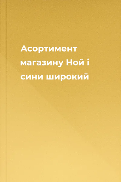 Асортимент магазину Ной і сини широкий
