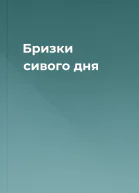 Бризки сивого дня