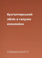 бухгалтерський облік в галузях економіки