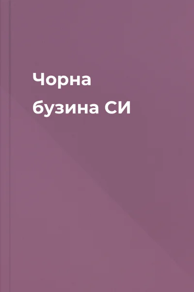 Чорна бузина СИ