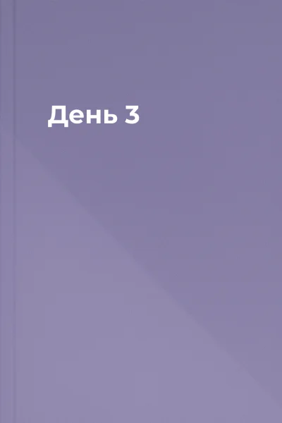 День 3
