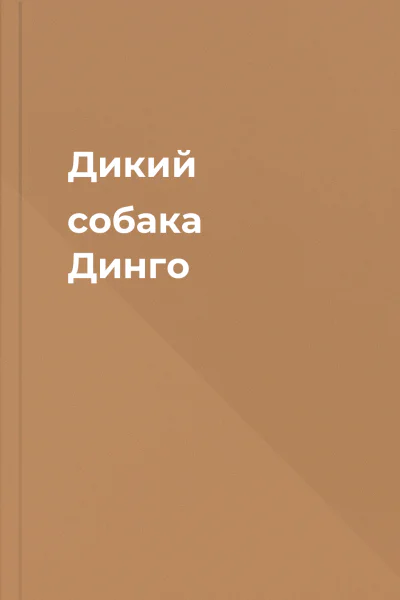 Дикий собака Динго