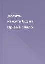 Досить кажуть бід на Пріама спало