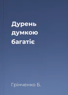 Дурень думкою багатіє