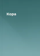 Кора