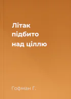 Літак підбито над ціллю