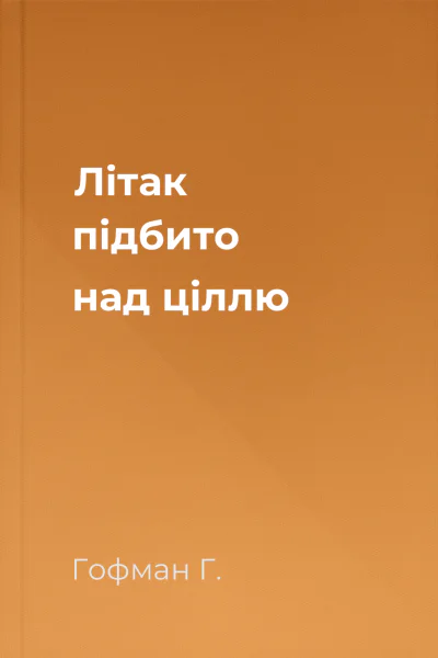 Літак підбито над ціллю