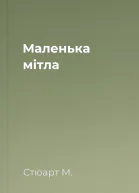 Маленька мітла