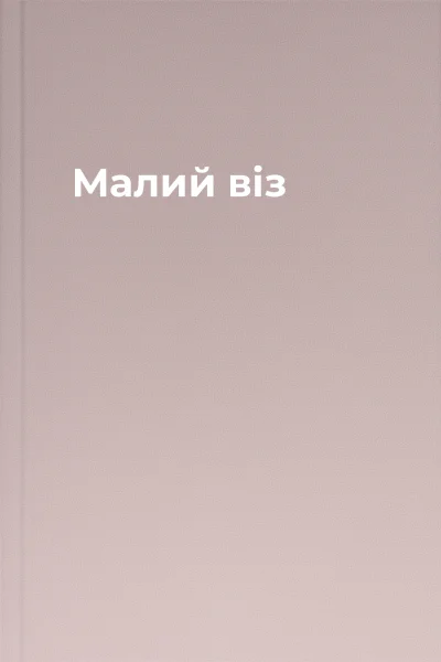 Малий віз