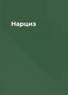 Нарциз