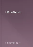 Не камiнь