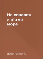 Не спалося  а ніч як море