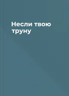 Несли твою труну