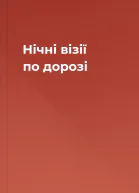 Нічні візії по дорозі