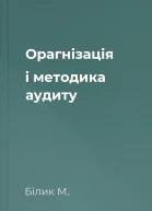 Орагнізація і методика аудиту