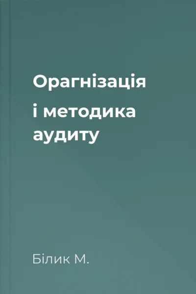 Орагнізація і методика аудиту