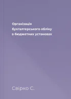 Організація бухгалтерського обліку в бюджетних установах