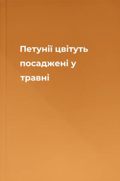 Петунії цвітуть посаджені у травні