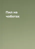 Пил на чоботах