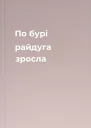 По бурі  райдуга зросла