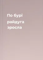 По бурі  райдуга зросла