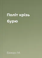 Політ крізь бурю