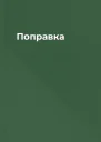 Поправка