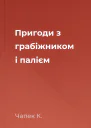 Пригоди з грабіжником і палієм