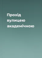 Прохід вулицею академічною