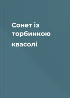 Сонет із торбинкою квасолі