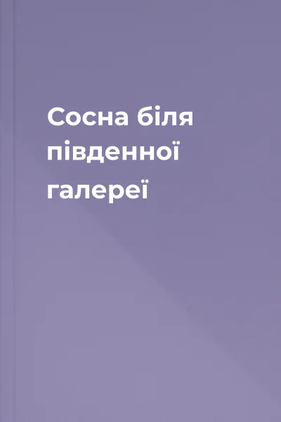 Сосна біля південної галереї
