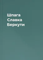 Шпага Славка Беркути