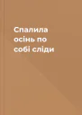 Спалила осінь по собі сліди