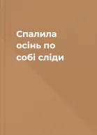 Спалила осінь по собі сліди
