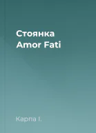 Стоянка Amor Fati