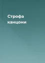 Строфа канцони