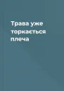 Трава уже торкається плеча