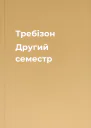 Требізон Другий семестр