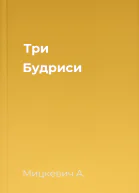 Три Будриси