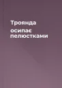 Троянда осипає пелюстками