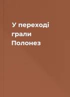У переході грали Полонез
