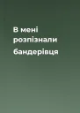 В мені розпізнали бандерівця