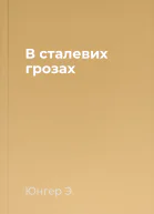 В сталевих грозах
