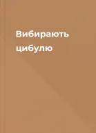 Вибирають цибулю