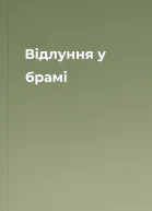 Відлуння у брамі
