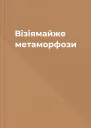 Візіямайже метаморфози