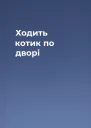 Ходить котик по дворі