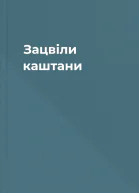 Зацвіли каштани